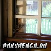 ggvgls_pakshenga-4_ 